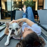 Kaitlan Collins Instagram - Reunited with @patrick.the.frenchie Miami, Florida