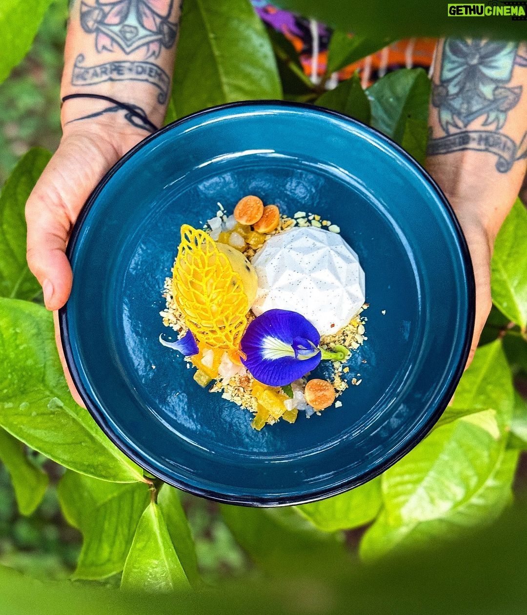 Kamila Rundusová Instagram - It’s good to be back at @___mycelium___ . We are creating new dishes, we play with the local ingredients, giving them an Asian twist and our Czech roots at the same time. We are having fun and that’s what matters. We don’t work here, we create. No limitations. That’s our concept. We are excited to have you for a dinner wednesday till friday from 6-10pm. And from next week, we will be finally open for breakfast and lunch too (9am until 2pm). Starting from next friday 15th of December. Reservations on +50671885850 Walk-ins are welcomed🤍 Have a great day and see you at our magic place in the heart of Playa Negra✨ Photo by @anna_stembik #mycelium #myceliumplayanegra Playa Negra, Guanacaste, Costa Rica