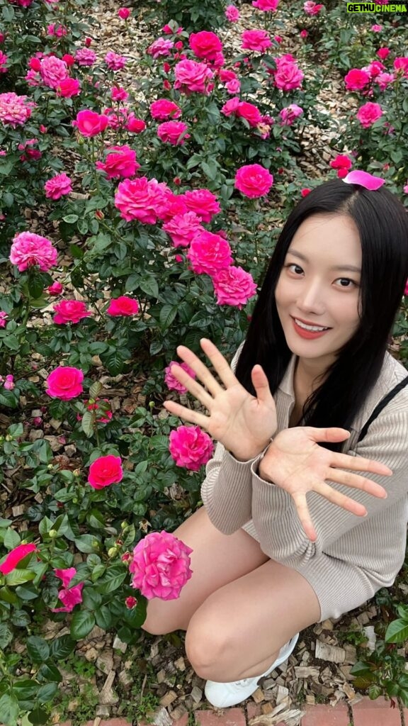 Kang Na-ru Instagram - 아마도 블랙핑크 지수의 꽃을 추고싶었던 것..🌺