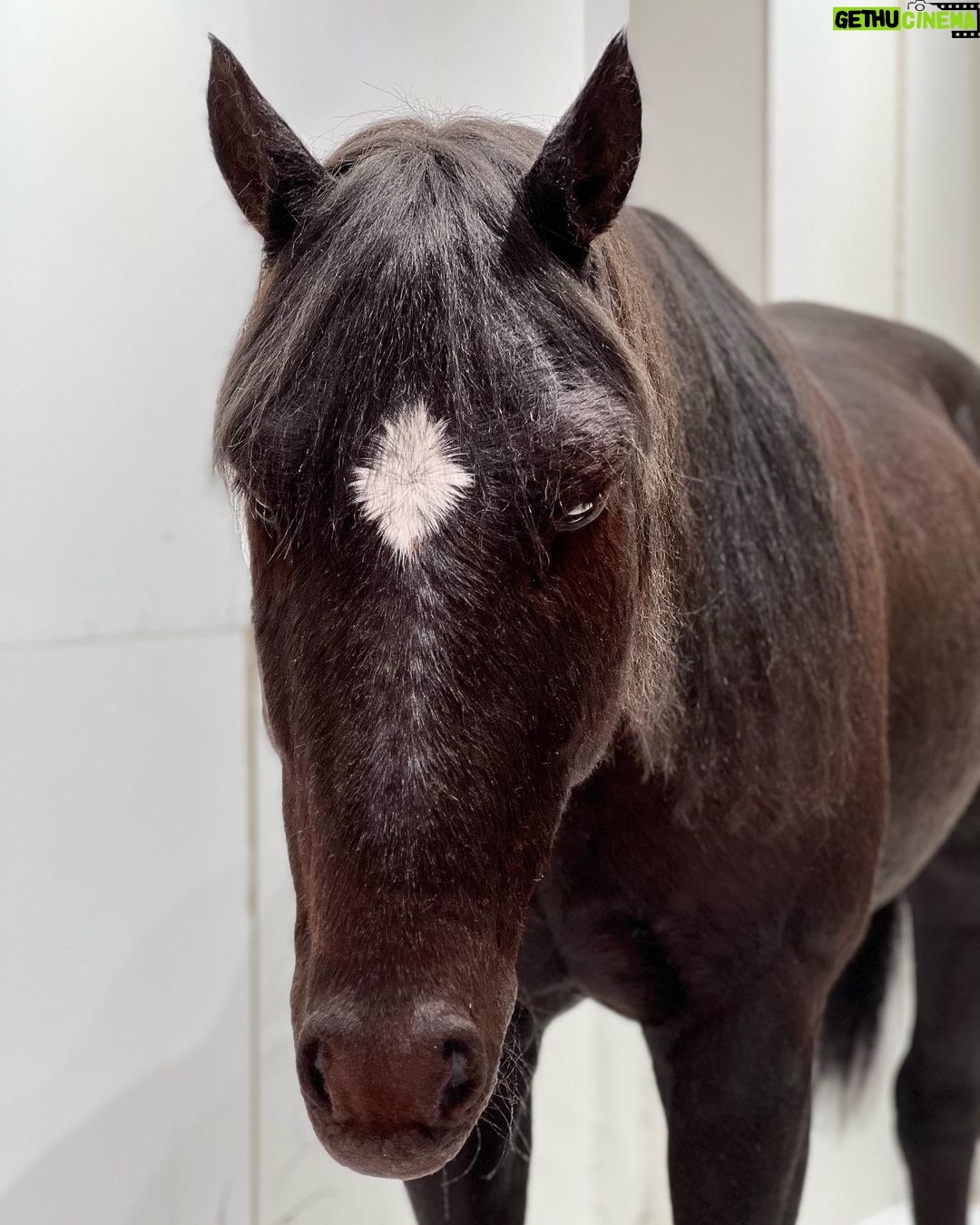 Kang Na-ru - 1.1K Likes - 📸🐴🌕