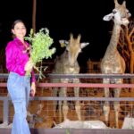 Kangna Sharma Instagram -