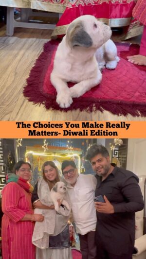 Kanisha Malhotra Instagram - The choices you make really matters as this moment right here, right now won’t come back. So cherish the festivities with your family & close ones as present is the only thing you have in your hand. Nothing else is in control. So Chalo yaar is Diwali phone ko side rakhke woh Diwali manate hai jo sirf humari phone ki memory mei nahi, balki humari core memory mei rahe 😇🙏💫🪔🧿

#diwali #family #diwali2023 #diwaligifts #diwalidecor #diwaliwithfamily #kanishamalhotra #explore #reelkarofeelkaro #reelsinstagram