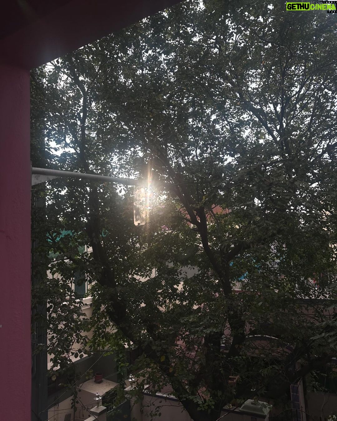 Kanmani Manoharan Instagram - #kanmanimanoharan✨ I like my shadow, it reminds me that I exist 💯 just look at my background wall it’s reflection of sunlight and trees then I understand nature is the best art ❣️ Customised outfit @f2f_designerboutique merry Christmas everyone ❣️ #kanmanimanoharan✨ #nature #beautiful #colourful #purelove #art #peace #positivity #sunshine🌞🌞🌞