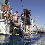 Kari Byron Instagram - I miss @mythbusters #sharkweek in the Bahamas #crashtestgirl