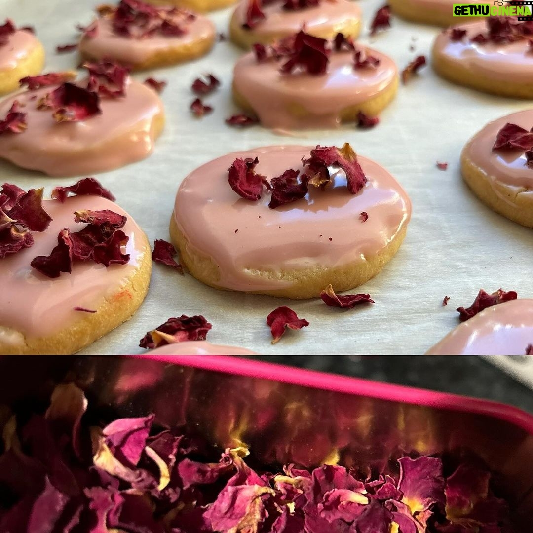 Kari Byron Instagram - I have been experimenting with Dispora Paneer Rose Petals. Steeped them in water to make rose frosted cookies. Then decorated with the petals. I am so excited that it turned out delicious!