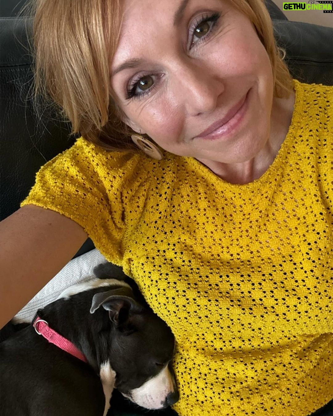 Kari Byron - 6.4K Likes - Had to get up before the sun to promote @nationalstemfestival on the morning news. Puppy wasn’t happy about central time😂