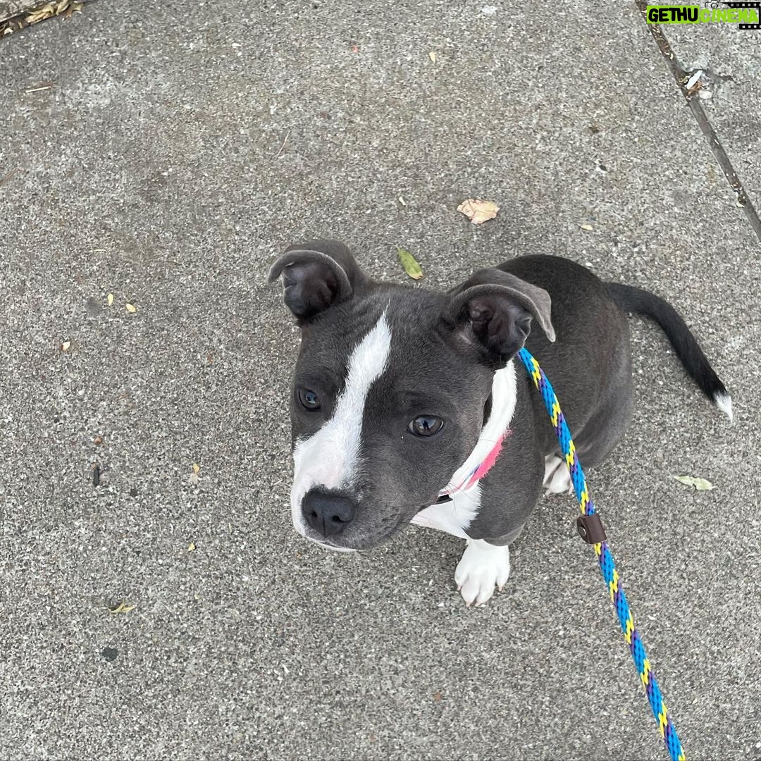 Kari Byron - 2.4K Likes - My Chief of Staffy.