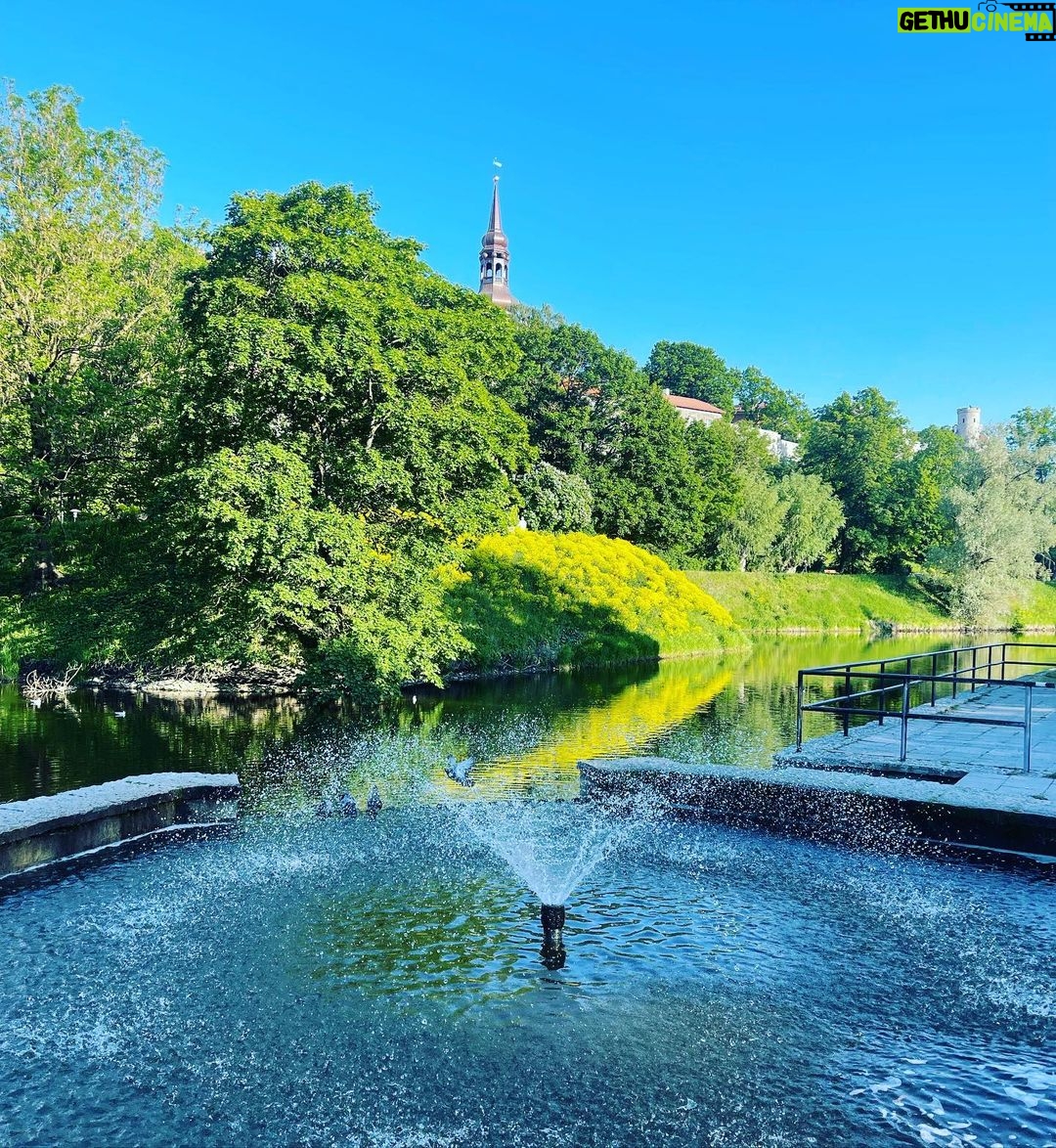 Karmen Pedaru Instagram - #eveningwalk Tallinn Old Town