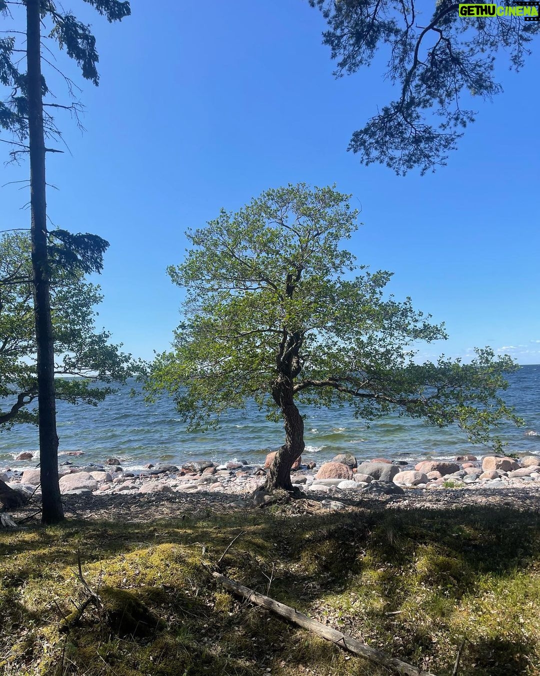 Karmen Pedaru Instagram - Käsmu matkarada