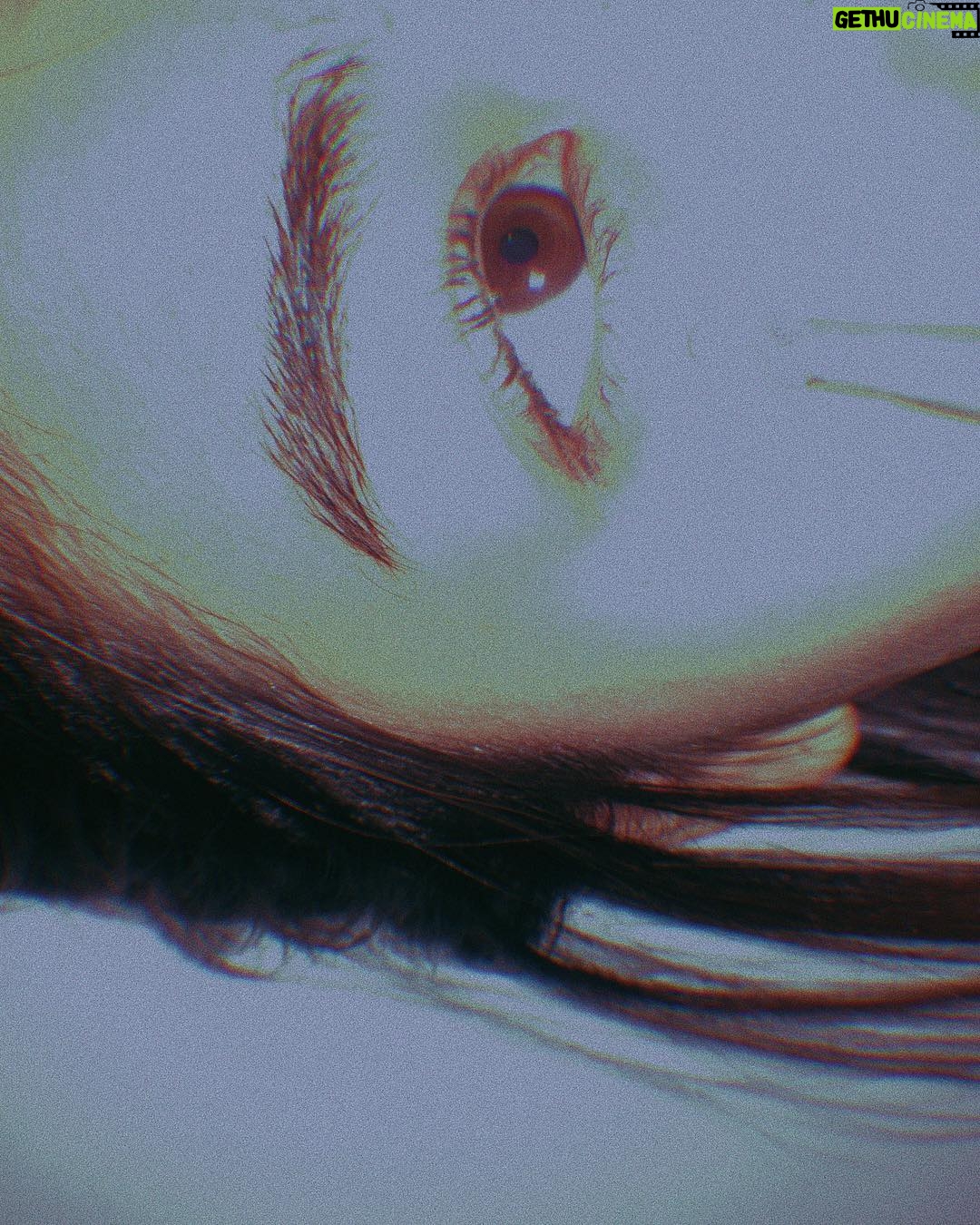 Katareeya Theapchatri Instagram - 👁.
