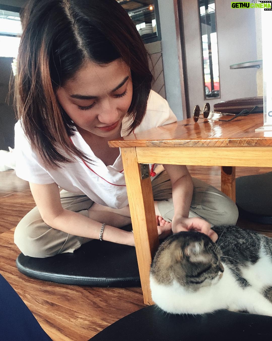 Katareeya Theapchatri Instagram - 🐈💕