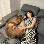 Katareeya Theapchatri Instagram -