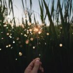 Kate Mulgrew Instagram - My thoughts on a new year: A little more grace, a little less ambition. In this way, I will surprised by joy.