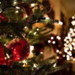 Kate Mulgrew Instagram – Merry Christmas to all who celebrate! Stay warm out there, folks.
🎄🎁🕯️
Photo by Tessa Rampersad via Unsplash