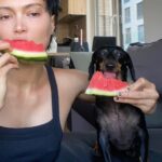 Kate Vitamin Instagram - Summertime meloncholy