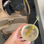 Kate Vitamin Instagram - Life is pretty cute lately