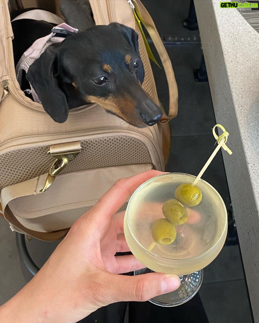Kate Vitamin Instagram - Life is pretty cute lately