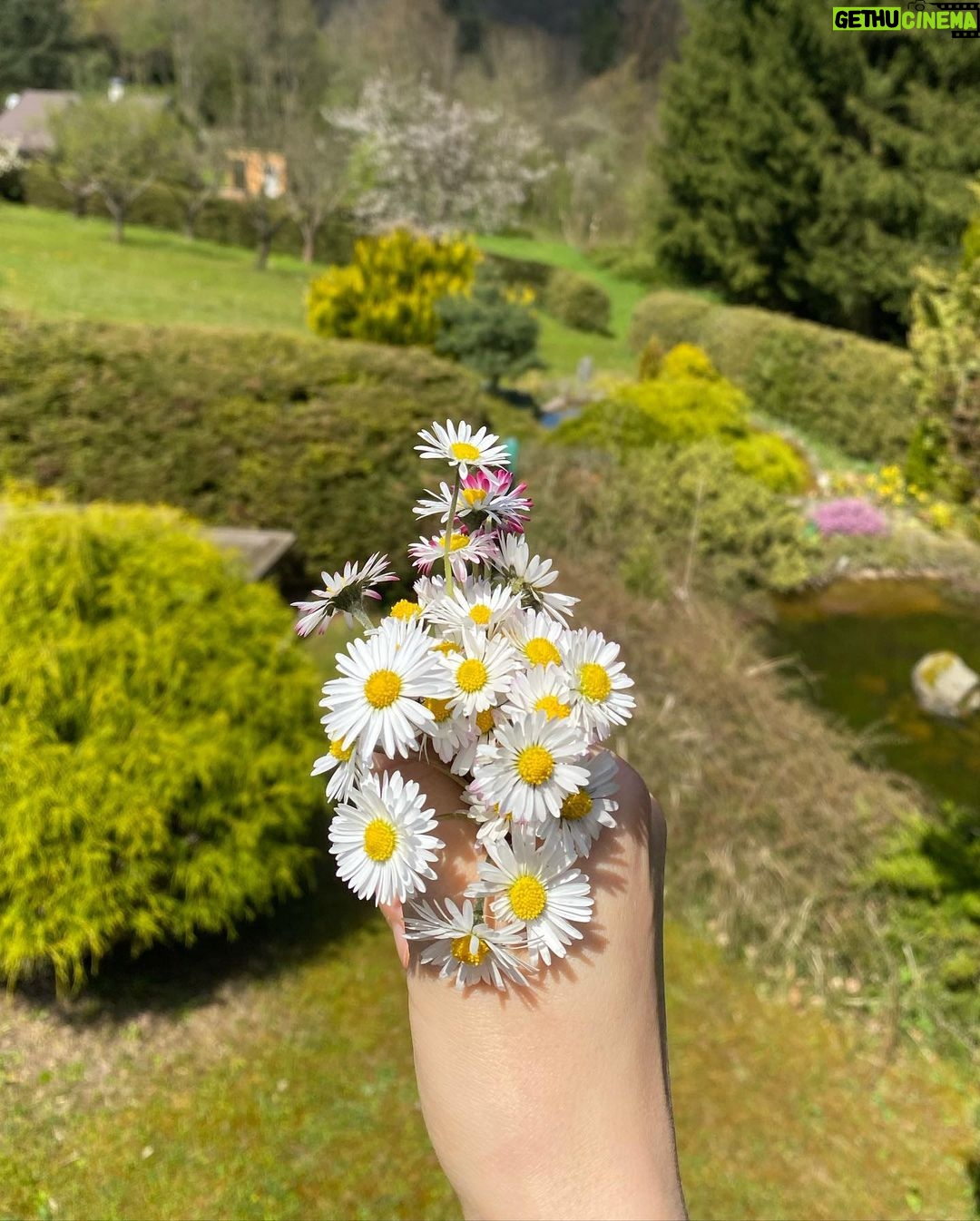 Kate Vitamin Instagram - Life is pretty cute lately