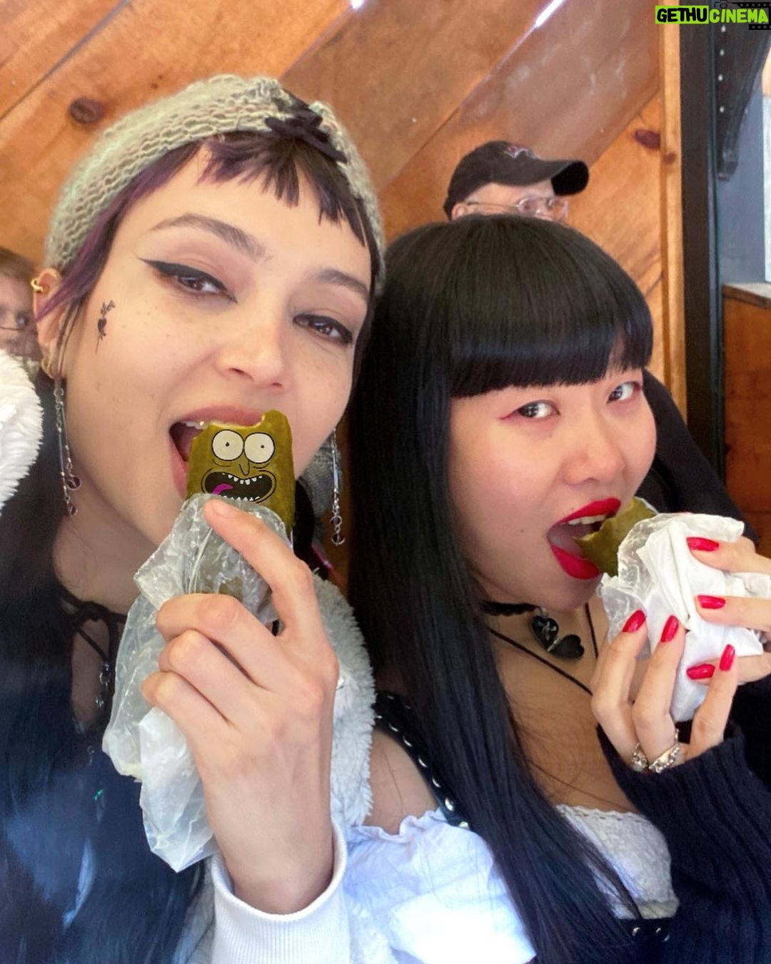 Kate Vitamin Instagram - The Pickle Chick