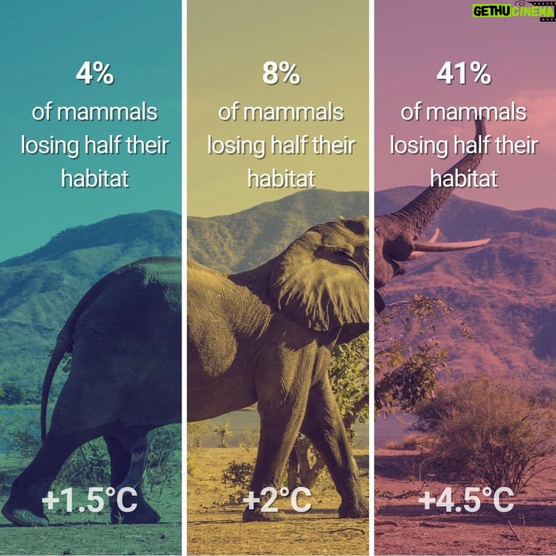 Katherine Langford Instagram - The difference between 1.5C, 2C or 3-4C average global warming can sound marginal. In fact, they represent vastly different scenarios for the future of humanity. The frequency of disasters, the survival of plants and animals, the spread of diseases, the stability of our global climate system and - ultimately - the possibility for humanity to survive on this planet hinge on these few degrees. Today, we still have the chance to meet the 1.5C goal mentioned in the Paris Agreement. We can still protect ourselves from the worst climate impacts and begin to shape a healthier future. But we are rapidly approaching irreversible climate tipping points. This is why the climate conference #COP26 in November is so important for the global fight against climate change. Countries must conclude outstanding items regarding the implementation of the Paris Agreement and lay the ground for a transformational decade of climate action in the 2020's. #itspossible CC: @carbonbrief @unclimatechange