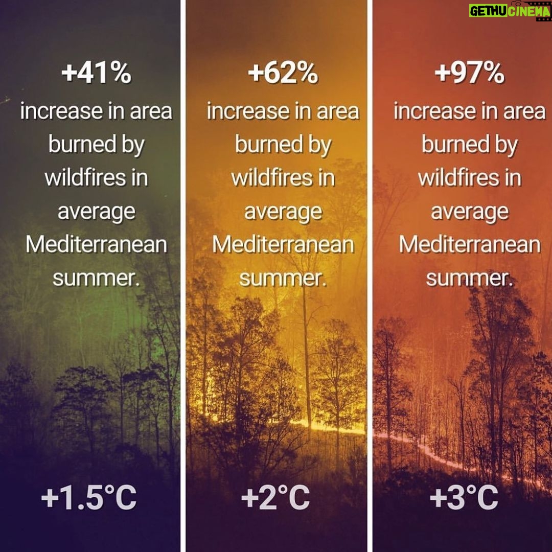 Katherine Langford Instagram - The difference between 1.5C, 2C or 3-4C average global warming can sound marginal. In fact, they represent vastly different scenarios for the future of humanity. The frequency of disasters, the survival of plants and animals, the spread of diseases, the stability of our global climate system and - ultimately - the possibility for humanity to survive on this planet hinge on these few degrees. Today, we still have the chance to meet the 1.5C goal mentioned in the Paris Agreement. We can still protect ourselves from the worst climate impacts and begin to shape a healthier future. But we are rapidly approaching irreversible climate tipping points. This is why the climate conference #COP26 in November is so important for the global fight against climate change. Countries must conclude outstanding items regarding the implementation of the Paris Agreement and lay the ground for a transformational decade of climate action in the 2020's. #itspossible CC: @carbonbrief @unclimatechange
