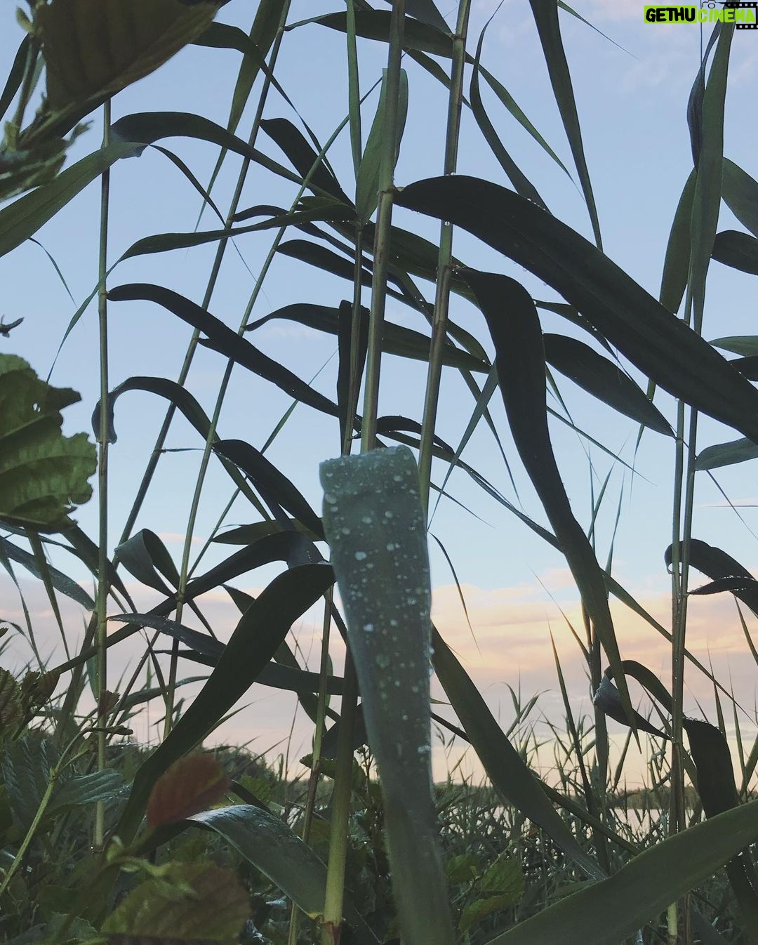 Katherine Langford Instagram - Feeling grateful for these big, little moments amidst everything going on these past few months...It's been a second. How is everyone feeling? 🌱🌊🌻
