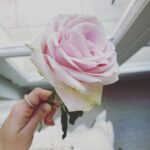 Katherine Langford Instagram - #wastefreewednesday Fashion Edition 🌷 There’s a long way to go when it comes to fashion and sustainability. One of my biggest issues is that there is currently no standard for what makes something sustainable... When I get approached by a "sustainable" brand I always ask for an impact statement so I can assess the transparency and legitimacy of what that means for them. This past week @mollyddickson pulled a number of beautiful looks - incorporating vintage and loaned pieces, re-purposed, and vegan materials. I love fashion and think it’s one of the greatest forms of self expression, but it shouldn’t cost our future. #WFW