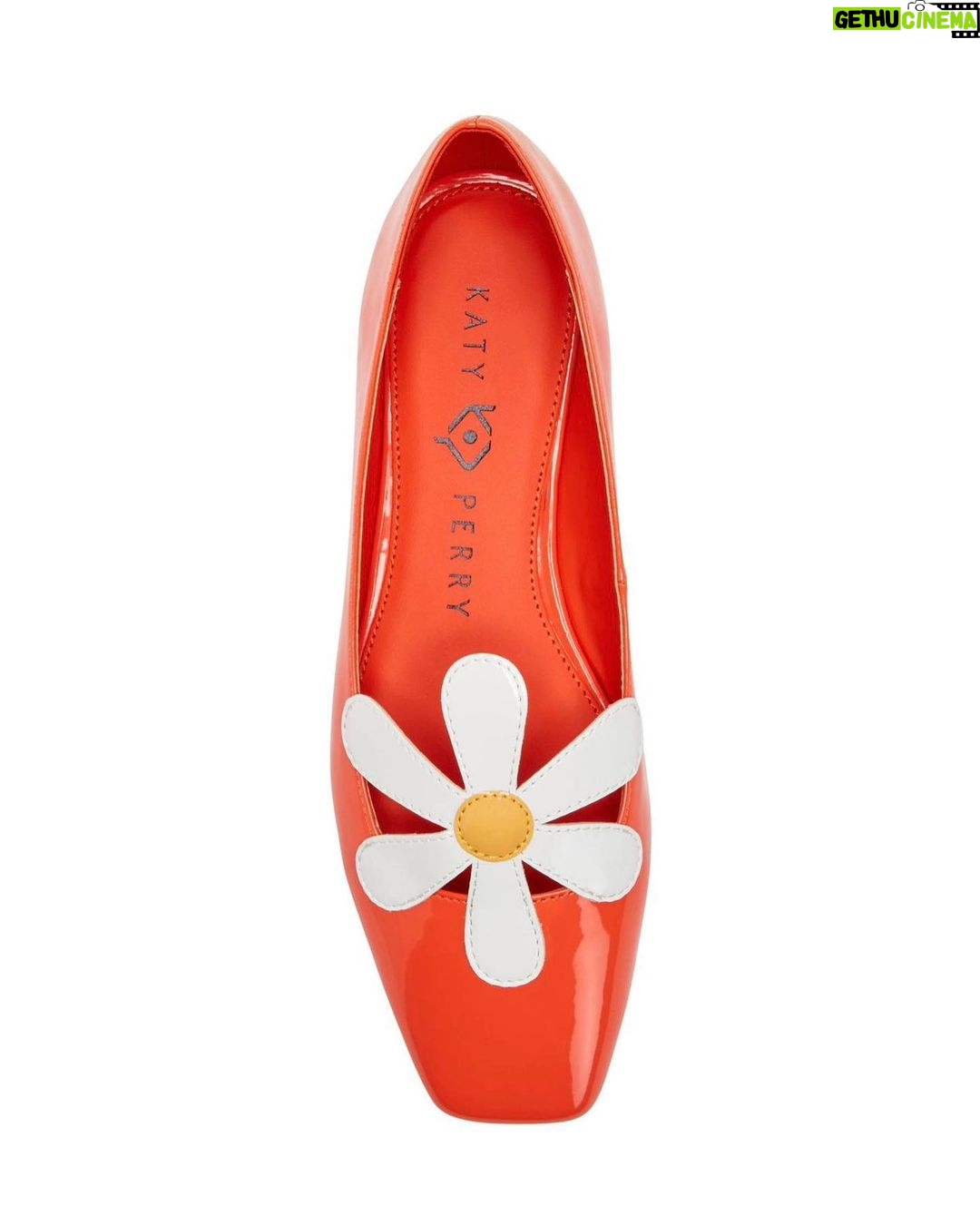 Katy Perry Instagram - Daisies, Daisies, Daisies! 🌼 #shoesday