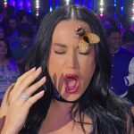 Katy Perry Instagram - 🪰 the #idol fly 🪰