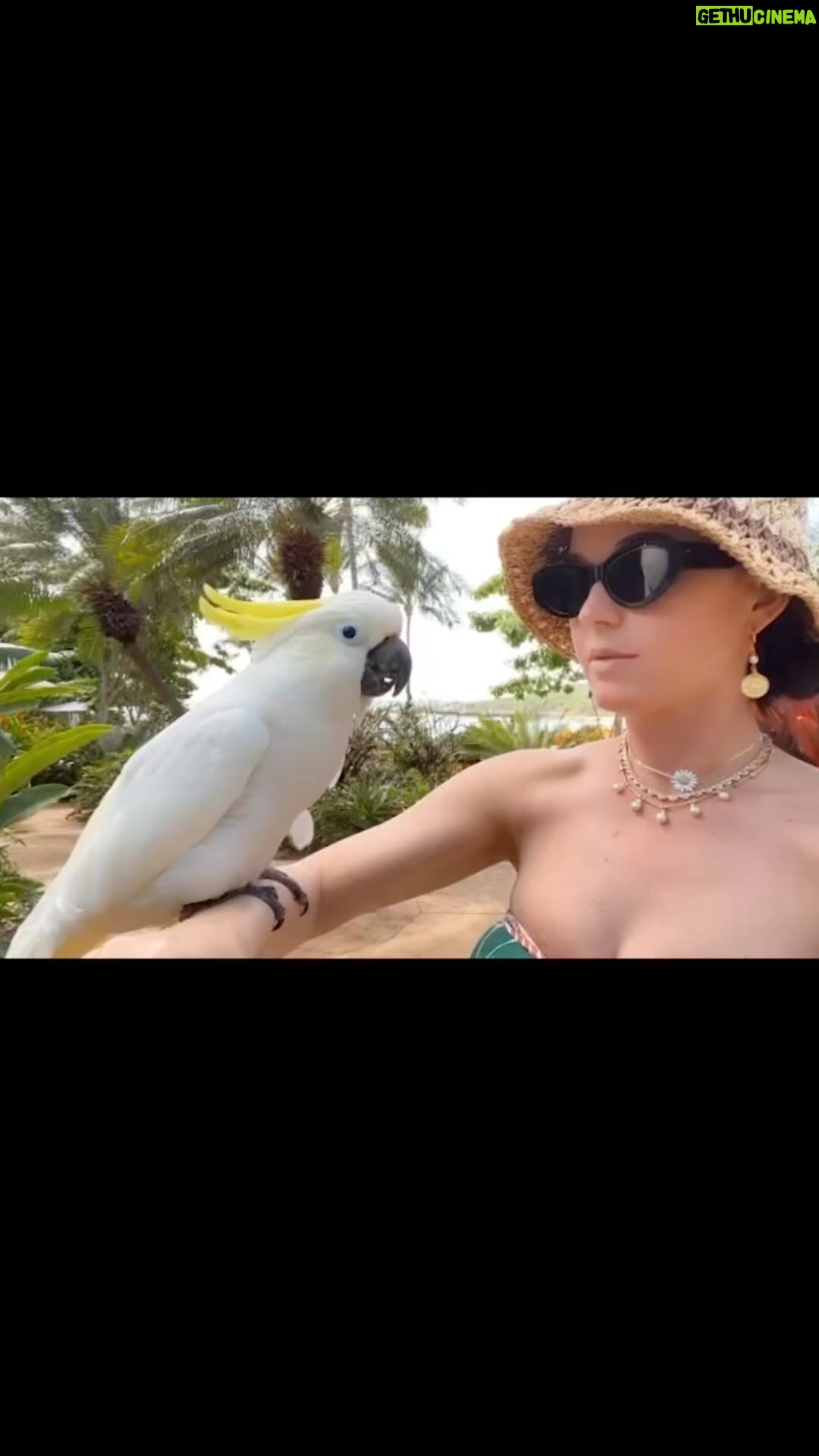 Katy Perry Instagram - did he just say watch #idol 🦜