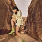 Katy Perry Instagram - Crocodile. Rocks. @katyperrycollections