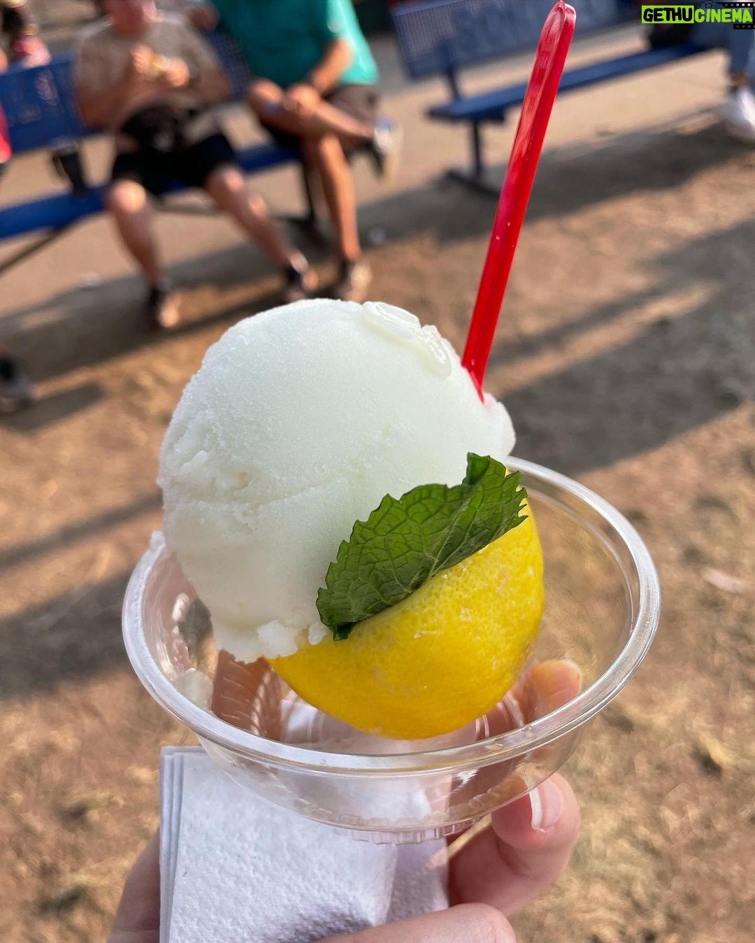 Kelsey Cook Instagram - Took my foosball wrists of fury to the fair 🎡🍋🍨🐊 Minnesota State Fair