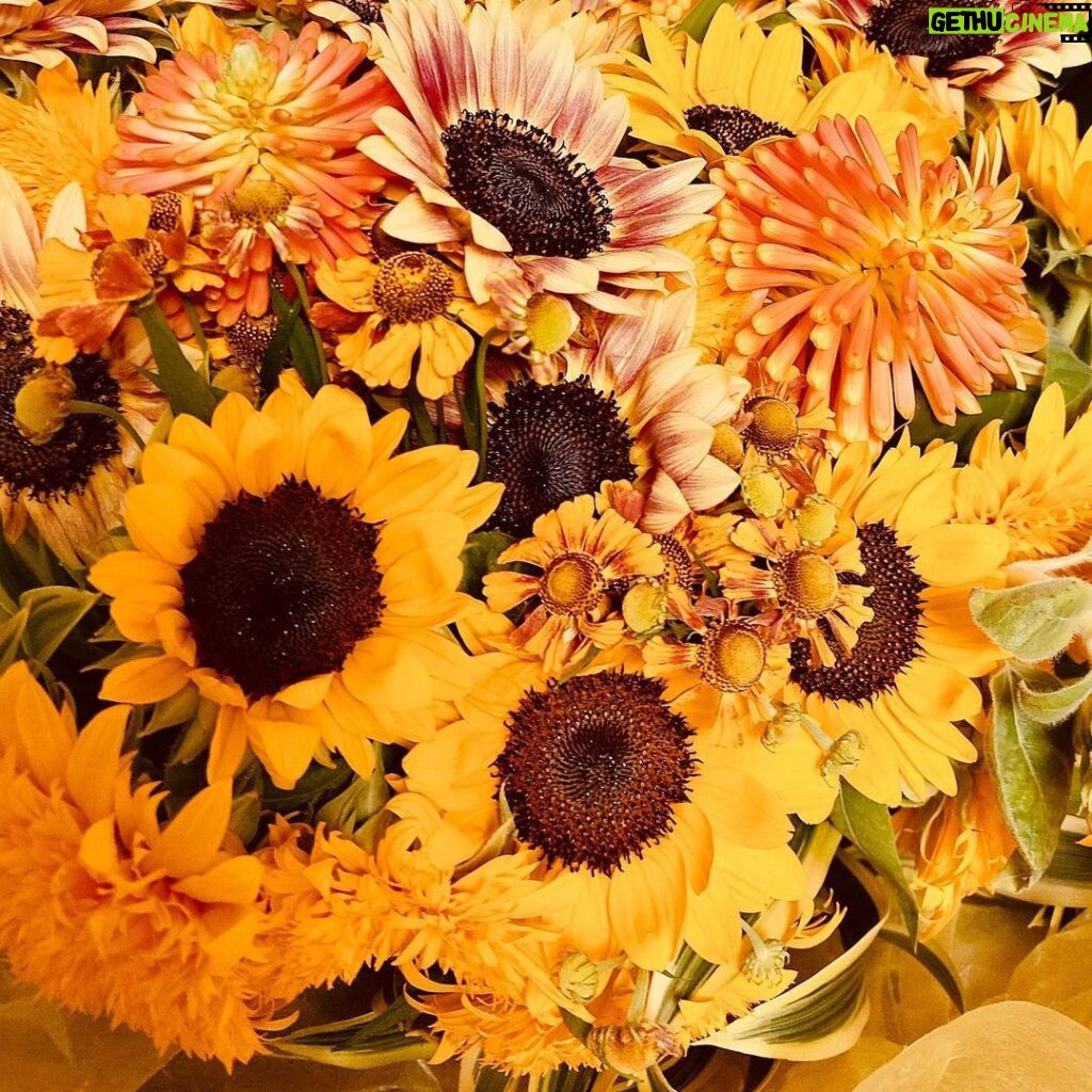 Ken Yasuda Instagram - 向日葵の花束をいただきました。 #ドラマ 『18/40』。今夜最終話。 お父さん役に感謝。 有栖に、この先も幸あれ。 #エイティーンフォーティー #エイフォー #TBS