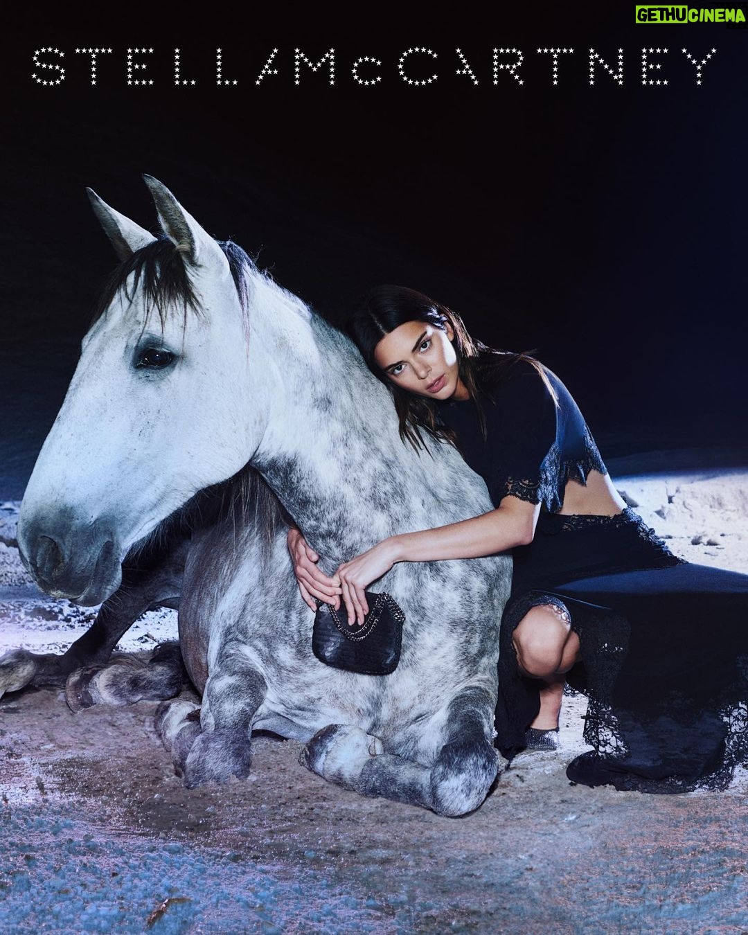 Kendall Jenner Instagram - a special day with @stellamccartney shot by @harleyweir #JeanFrancoisPignon and his horses were nothing short of amazing. i felt so happy and calm all day. thank you for this experience Stella š¤ #StellaMcCartney #StellaWinter23