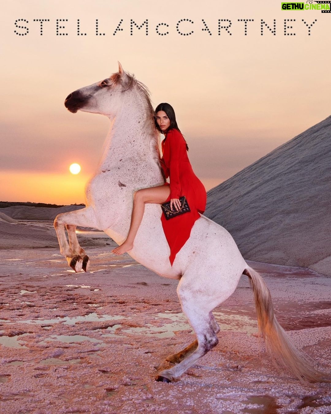 Kendall Jenner Instagram - a special day with @stellamccartney shot by @harleyweir #JeanFrancoisPignon and his horses were nothing short of amazing. i felt so happy and calm all day. thank you for this experience Stella š¤ #StellaMcCartney #StellaWinter23