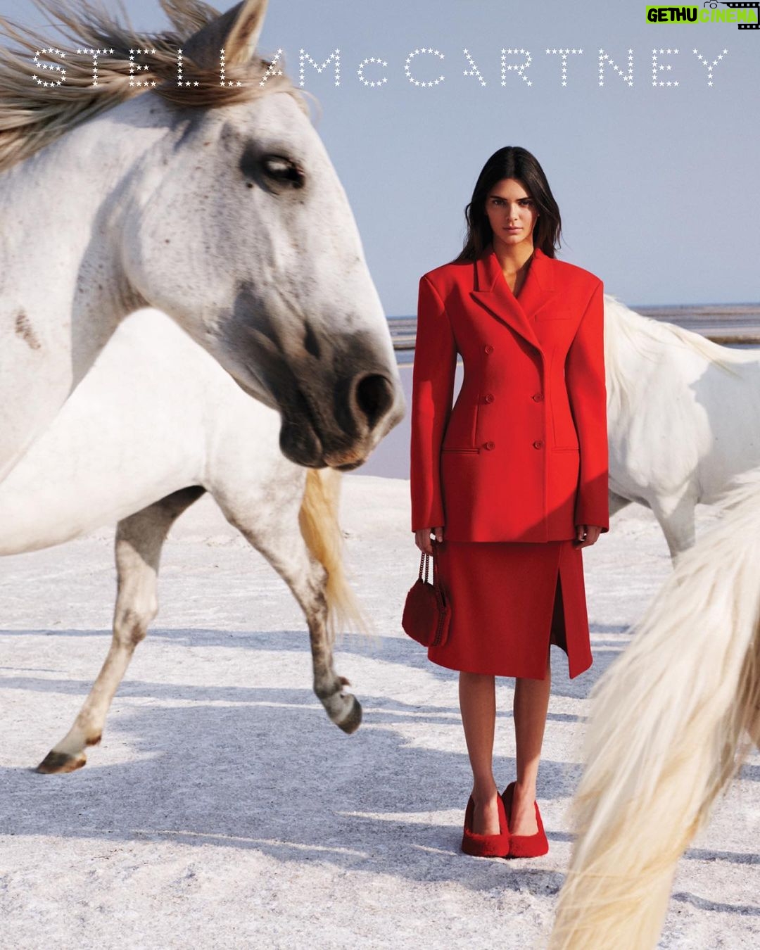 Kendall Jenner Instagram - a special day with @stellamccartney shot by @harleyweir #JeanFrancoisPignon and his horses were nothing short of amazing. i felt so happy and calm all day. thank you for this experience Stella š¤ #StellaMcCartney #StellaWinter23