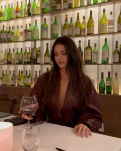 Kendall Jenner Instagram - me and my wine again