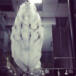 Kentaro Kameyama Instagram - So beautiful... #designerkentaro #inspired #dtla