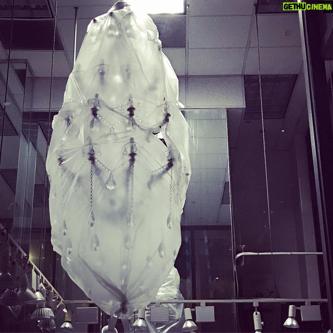 Kentaro Kameyama Instagram - So beautiful... #designerkentaro #inspired #dtla