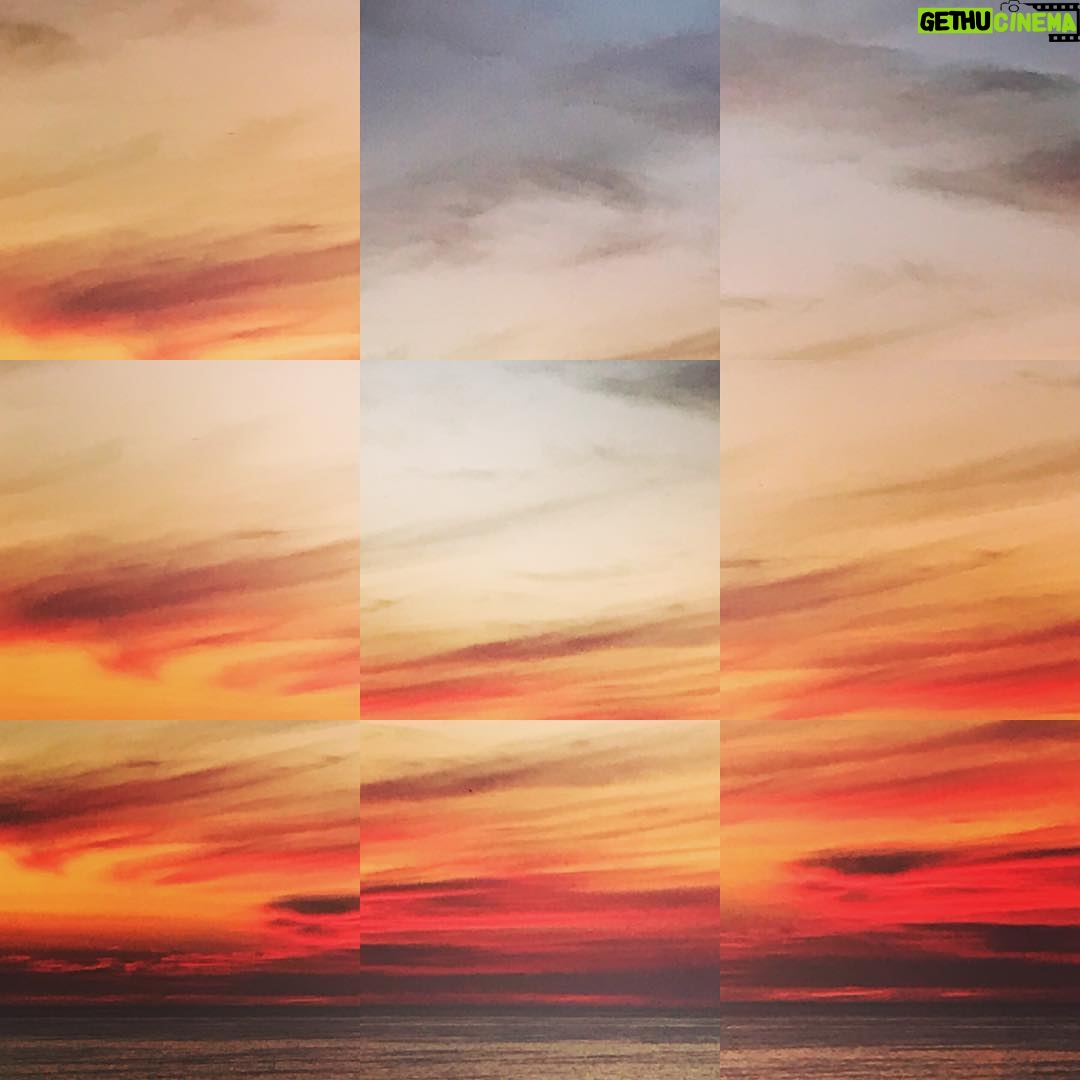 Kentaro Kameyama - 1.7K Likes - #deagnerkentaro #venicebeach