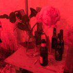 Kentaro Kameyama Instagram - I found something so #beautiful at a #holidayparty last night. #designerkentaro #projectrunway