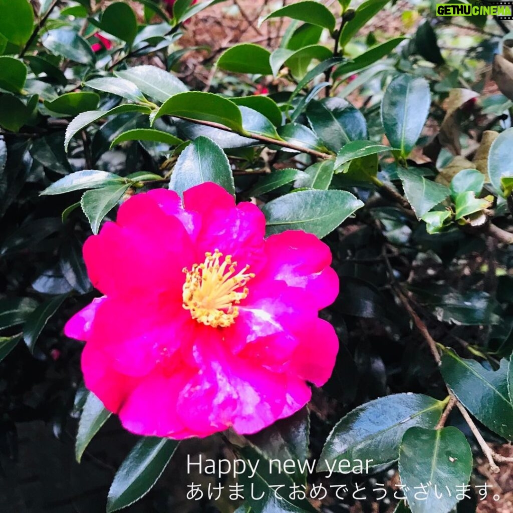 Kentaro Kameyama Instagram - A new year, a time to set new goals. A time to reflect on the things that are important to you and the things you wish to achieve. May this year see all your dreams come true... Seki, Gifu
