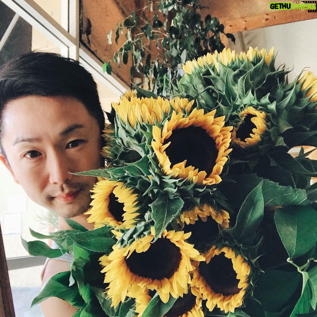 Kentaro Kameyama - 3.3K Likes - I #love #summer so much! Fresh #sunflowers from my favorite #flower shop in Hollywood @theconservatoryflorist