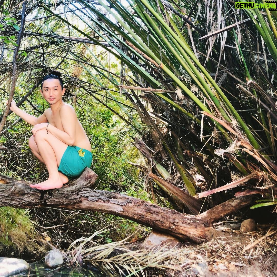 Kentaro Kameyama - 2.7K Likes - #natural #hotsprings