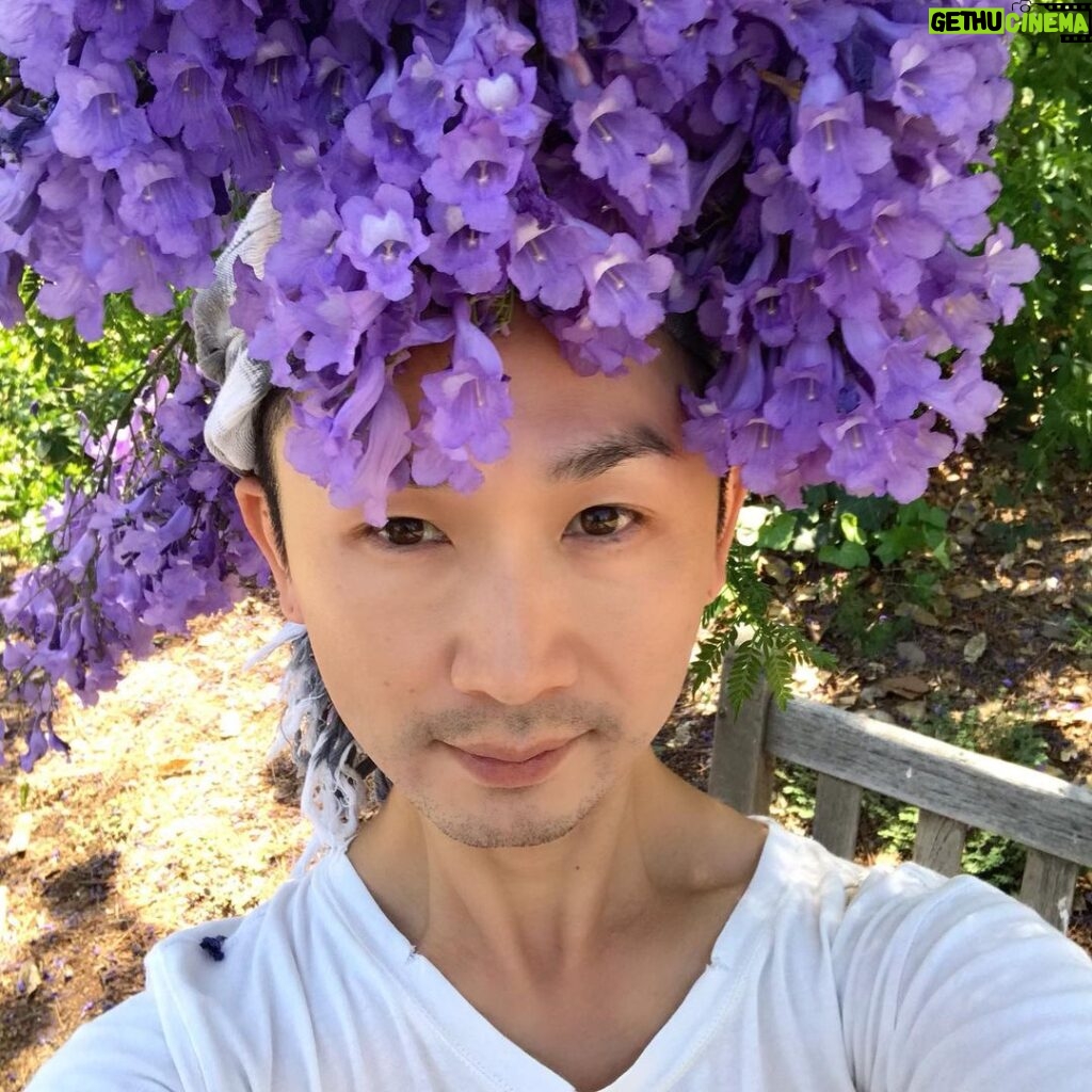 Kentaro Kameyama Instagram - Finding #inspiration from #nature . I’m looking forward to working on my next #fashion #show ; I wonder when it’s going to be... The Arboretum Park