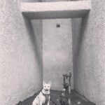 Kenton Duty Instagram - Best furrends.