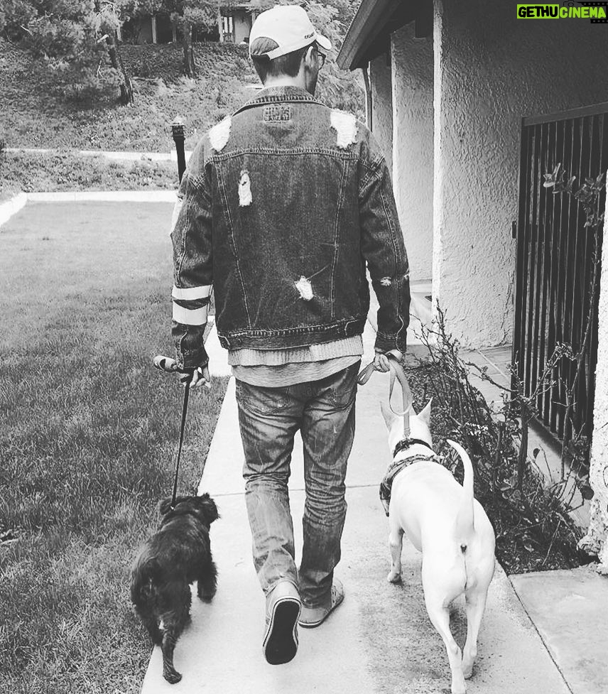 Kenton Duty Instagram - #NationalPuppyDay #puppylove🐶 walk W/ Kona (the devilishly handsome, Small Münsterlander to my left) and Katana (the precious Swiss Shepherd/Sharpei to my right) . . . 📸 Photo taken by the sassy frassy redhead I’m dating behind me ;) @kimmierobinson