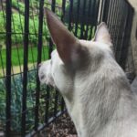 Kenton Duty Instagram – She loves the rain.