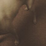 Kenton Duty Instagram – Happy to be home with my Pupper