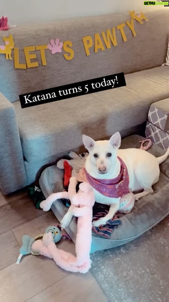 Kenton Duty Instagram - Happy Birthday Puppy Girl 🐶! 🎉🎊🎉